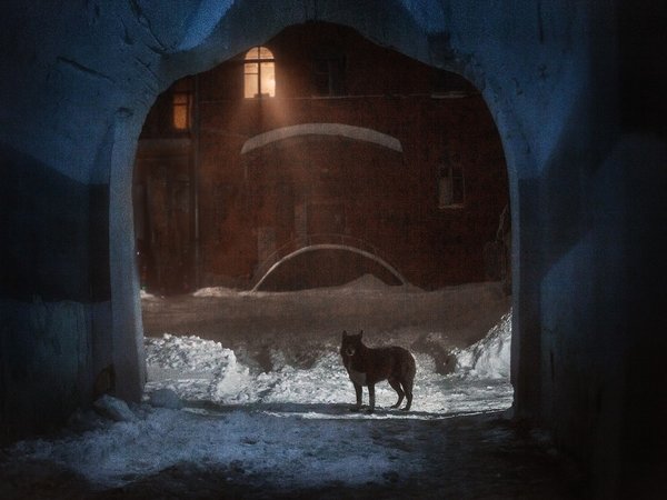 Захватывающий Нижний: от спиритических сеансов Даля до соляных афер - фото 4