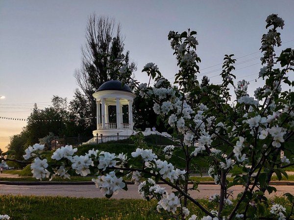От «Здорово, Кострома!» до «Смешариков»: Кострома в песнях - фото 3