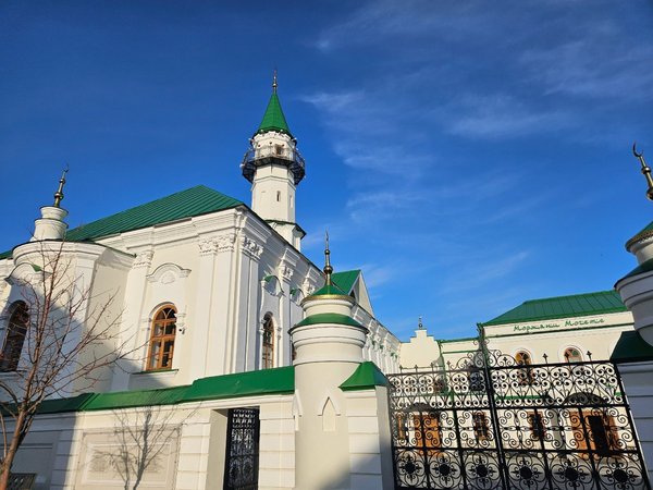 Старая Казань: история, культура, быт городских татар - фото 4