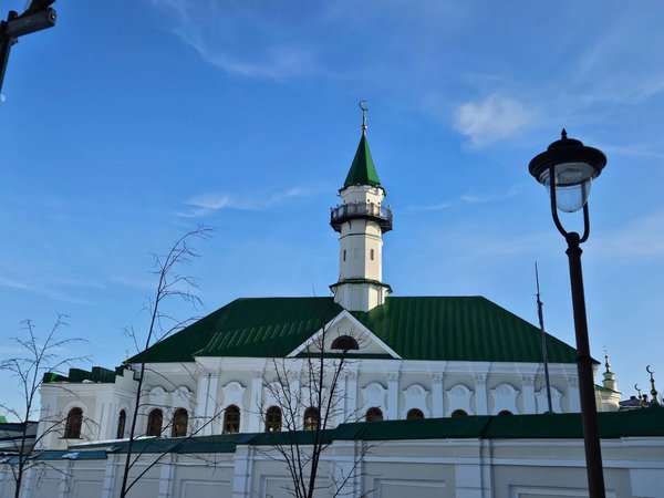 Старая Казань: история, культура, быт городских татар - фото 3