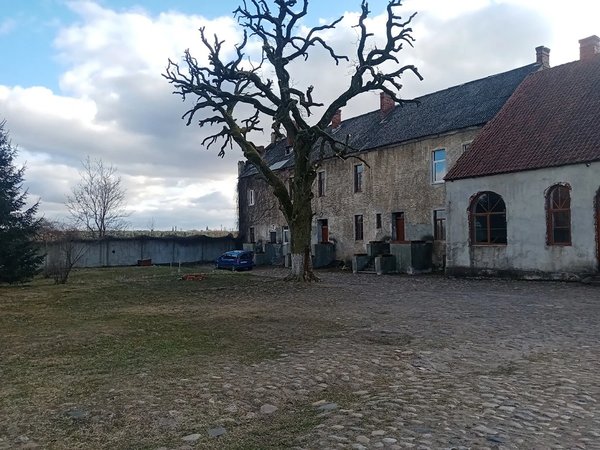 Замки, руины и интересные люди Калининградской области - фото 2