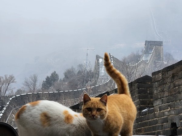 Путешествие сквозь века — от Великой стены до ламаистского храма - фото 3