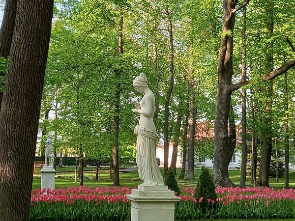 Два знаменитых парка Петергофа за 1 день - фото 2