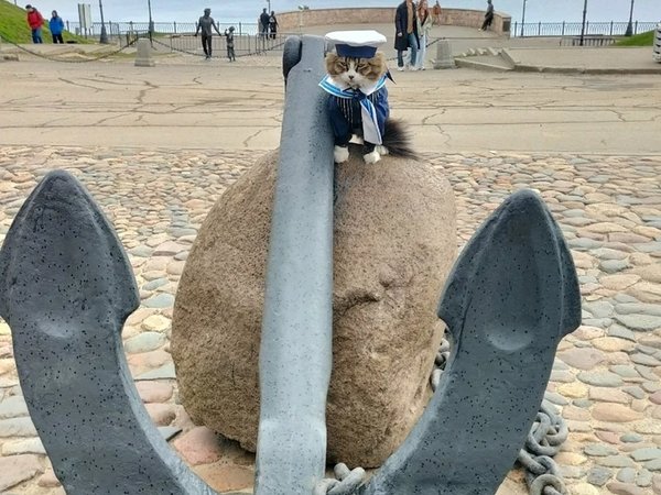 Рыбинск с душой: встреча с Барсиком, история города и кадры на память - фото 2
