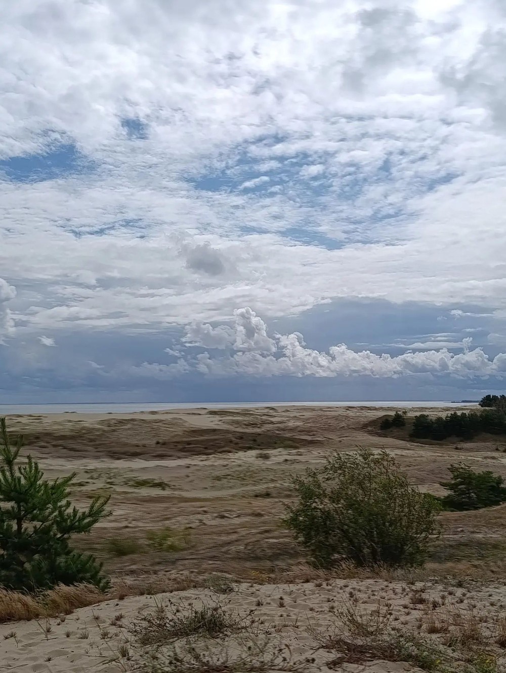 Куршская коса — природная сказка Балтики + курортный Зеленоградск - фото 2
