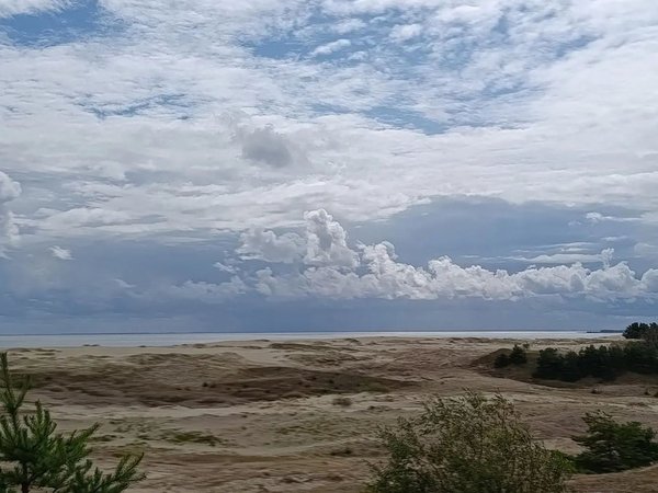 Куршская коса — природная сказка Балтики + курортный Зеленоградск - фото 2