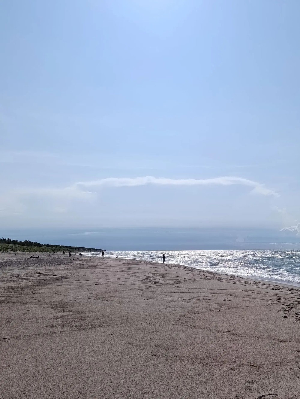 Куршская коса — природная сказка Балтики + курортный Зеленоградск - фото 3