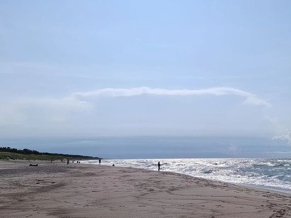 Куршская коса — природная сказка Балтики + курортный Зеленоградск - фото 3