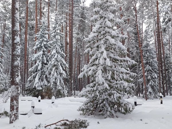 Из Смоленска в Катынский лес: место памяти и скорби двух народов - фото 3
