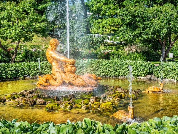 Петергоф от А до Я: метеор, Нижний парк и экскурсия в Большой дворец (билеты включены) - фото 3
