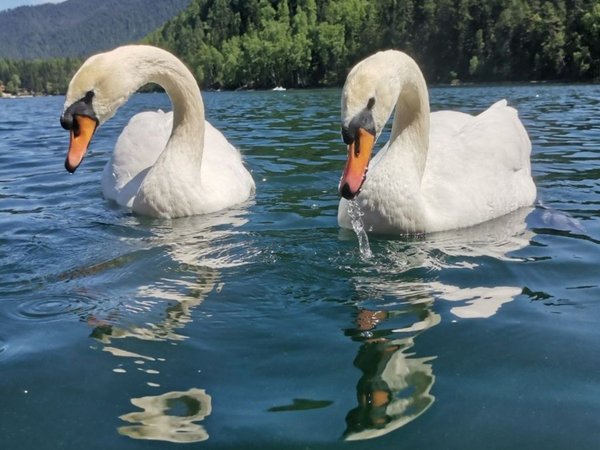 Из Иркутска на Тёплые озёра + подъём на гору Шапка Мономаха или релакс