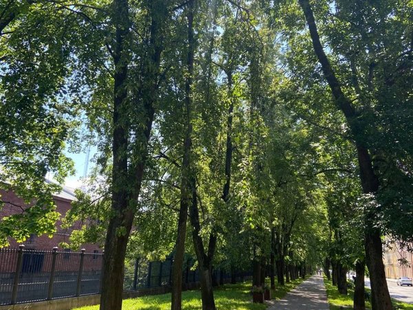 Экспресс-прогулка по городу-крепости Кронштадту - фото 3