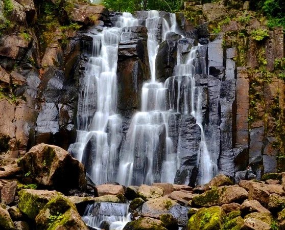 Приморский сафари-парк, водопады, бухты и мысы - фото 1