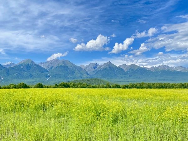 Из Иркутска — в Аршан, к подножию сибирских Альп