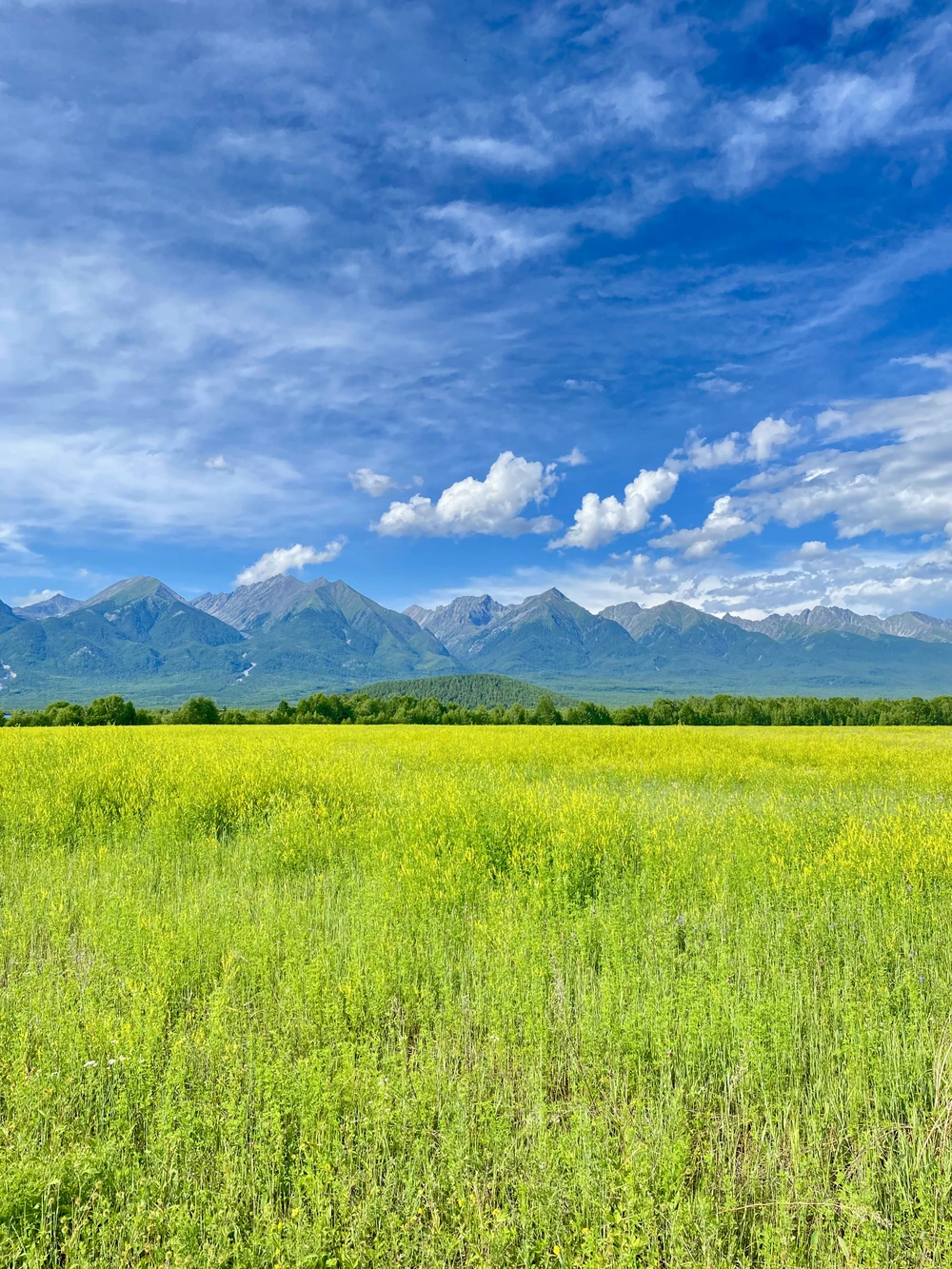 Из Иркутска — в Аршан, к подножию сибирских Альп - фото 3