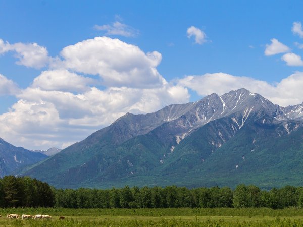 Из Иркутска — в Аршан, к подножию сибирских Альп - фото 1