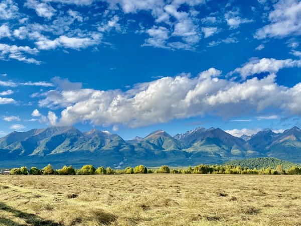 Из Иркутска — в Аршан, к подножию сибирских Альп - фото 4