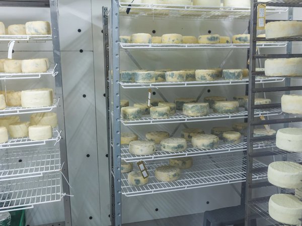 Экскурсия по семейной сыроварне и мастер-класс по изготовлению швейцарского сыра - фото 2