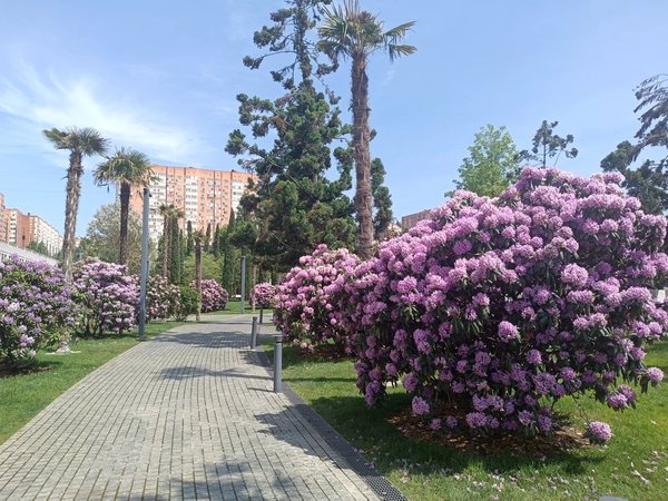 Прогулка по парку Галицкого в Краснодаре - фото 2