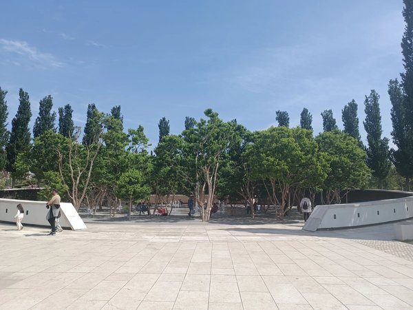 Прогулка по парку Галицкого в Краснодаре - фото 4