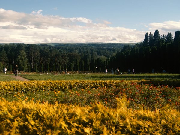 Курортный парк Кисловодска: Долина роз и панорамы Кавказа - фото 2