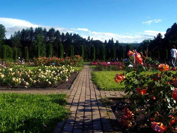 Курортный парк Кисловодска: Долина роз и панорамы Кавказа - фото 3