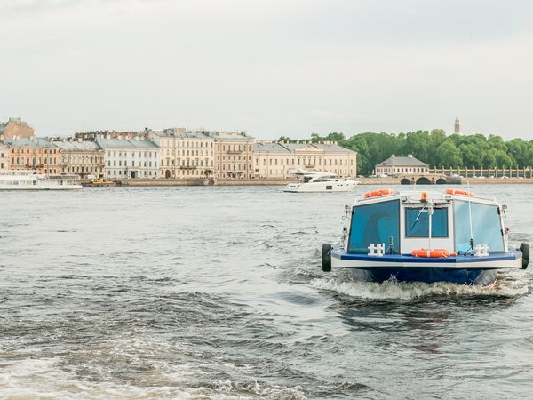 Золотое кольцо Петербурга — от Петроградки по парадной Неве - фото 4