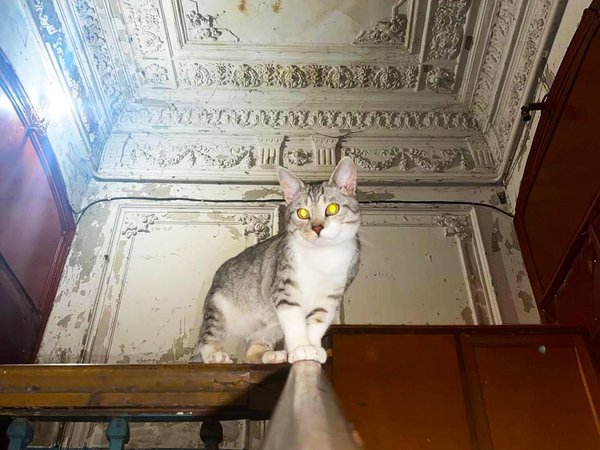Авторская экскурсия «Астрахань, которую не покажут в путеводителях» - фото 3