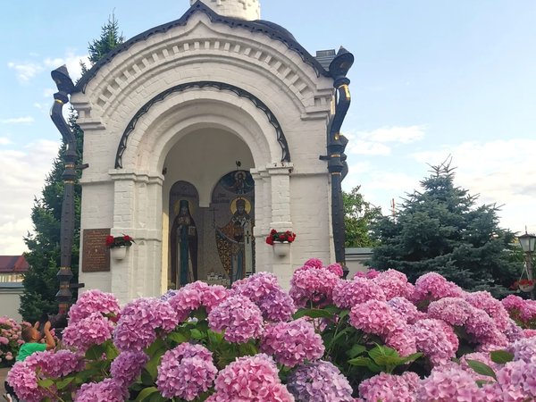Тайная сторона Воронежа. Индивидуальная экскурсия - фото 2