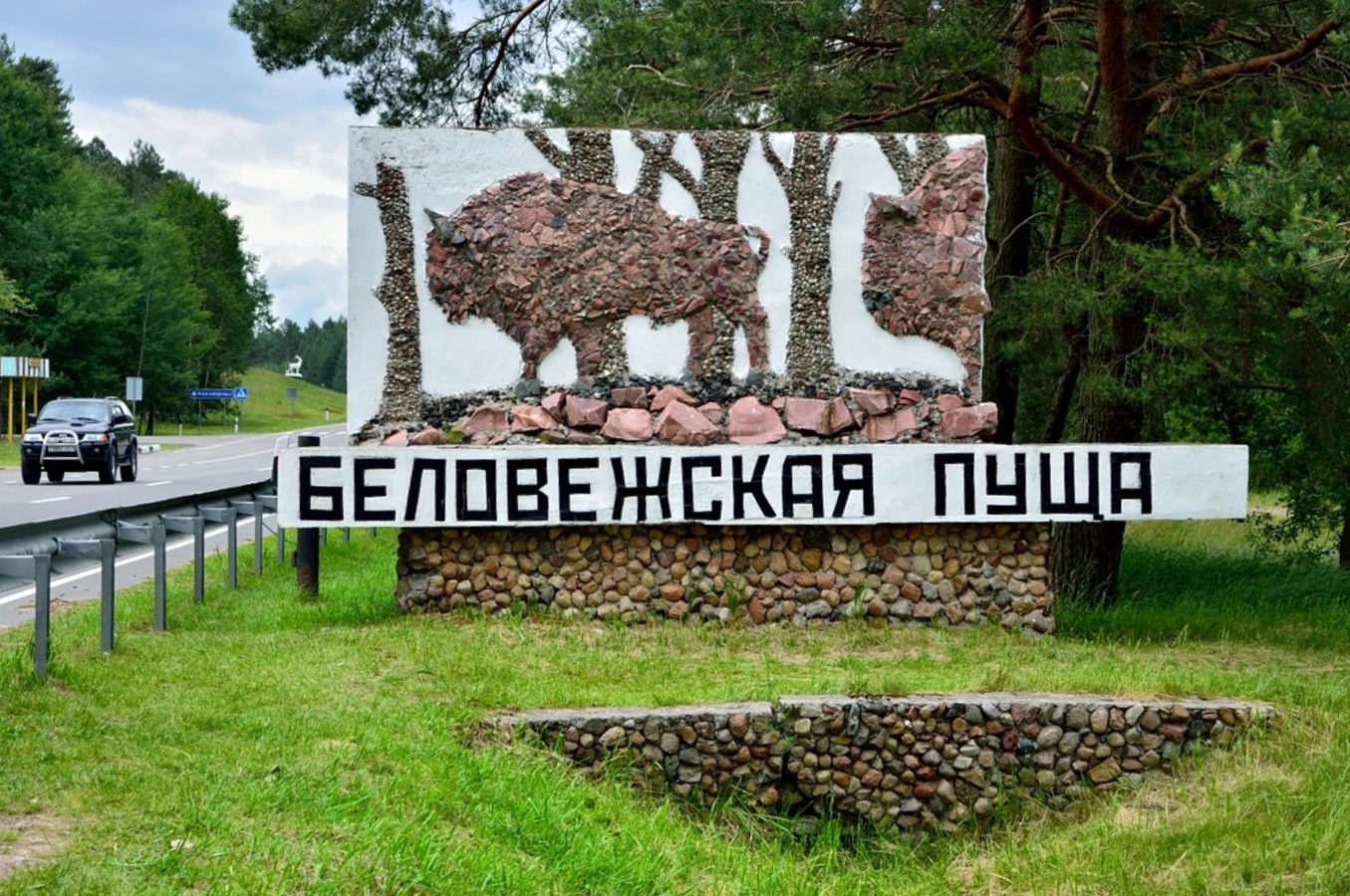 Трансфер из Бреста на экскурсии в Беловежскую пущу