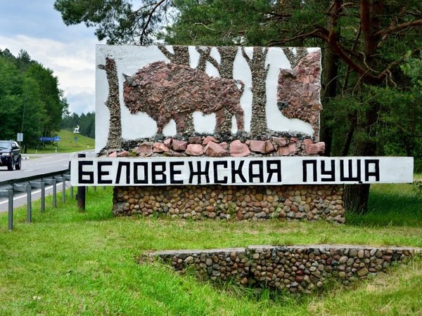 Трансфер из Бреста на экскурсии в Беловежскую пущу - фото 1