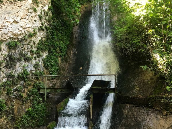 Солнечный Сухум, каньон Черниговка и термы Кындыга (из Гагры) - фото 3