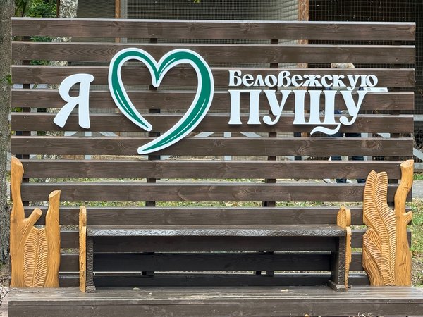 Трансфер из Бреста в Беловежскую пущу и обратно