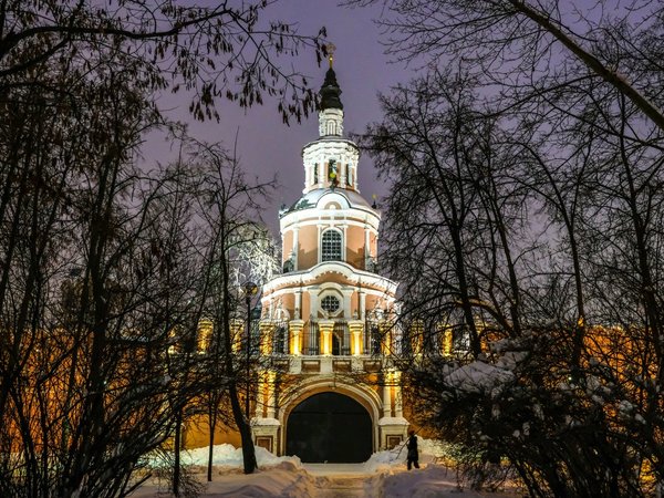 Тайны Донского монастыря и его некрополя - фото 4