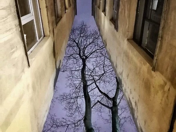 Тихой стороной Петроградки: авторская прогулка из эпохи в эпоху - фото 2