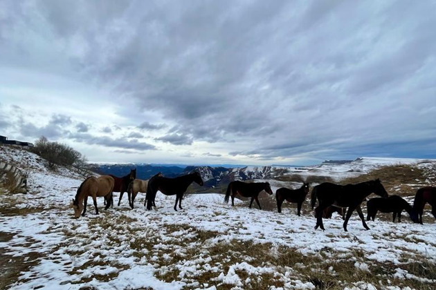 Фото - экскурсия: Отправляемся в Кавказскую Швейцарию - Домбай ждет вас