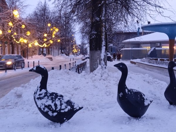 По следам арзамасского гуся. Гастрономическое приключение