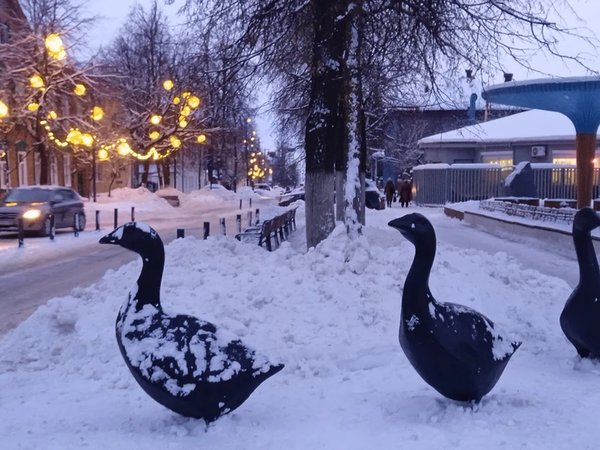 По следам арзамасского гуся. Гастрономическое приключение - фото 1