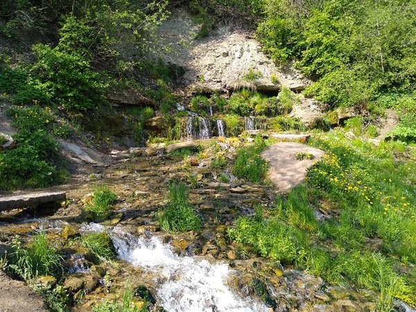 На автобусе в Изборск и Печоры - фото 3