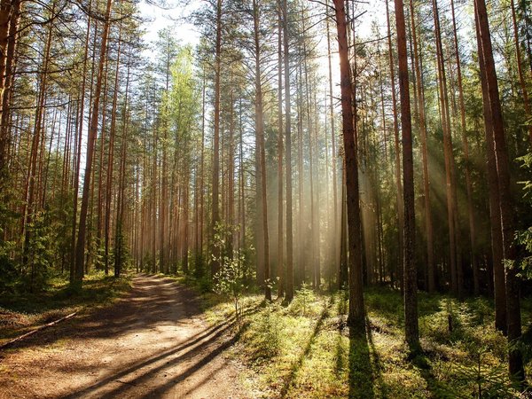 Моя Карелия - фото 1