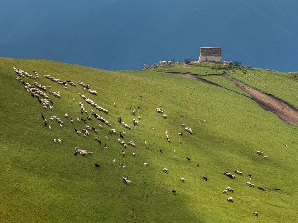 К священной вершине Ингушетии: восхождение на Столовую гору - фото 3