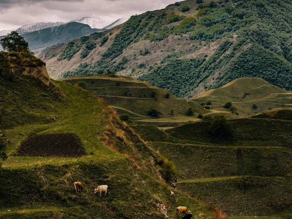 В Дагестан за приключениями, релаксом и природными чудесами (с аэросъёмкой) - фото 2