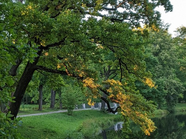 Велосипедная экскурсия по Александровскому парку в Царском Селе - фото 3