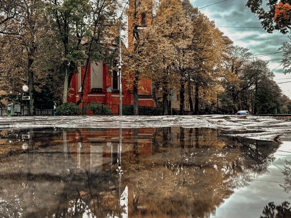 Амалиенау — душа Калининграда - фото 3