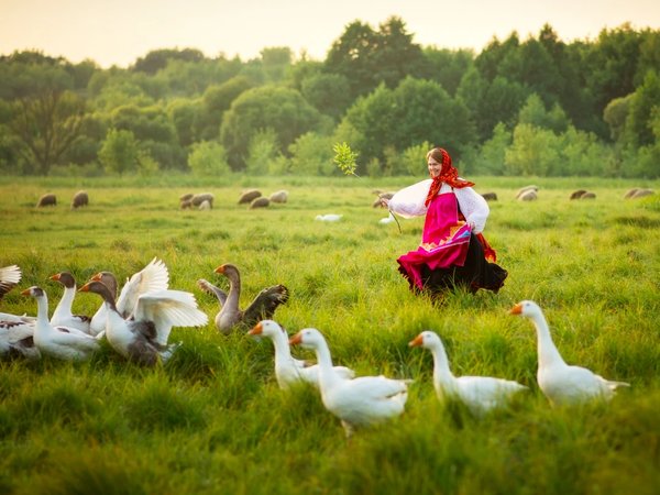 Автобусная экскурсия «Тайны Суздаля: путешествие сквозь века» - фото 4