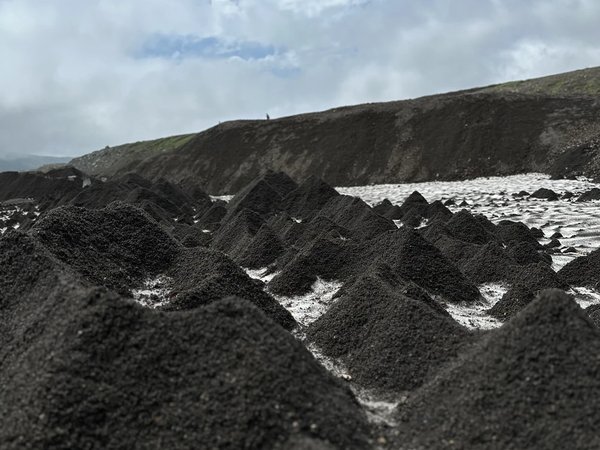 Камчатка для всех: треккинг на гору Верблюд - фото 4