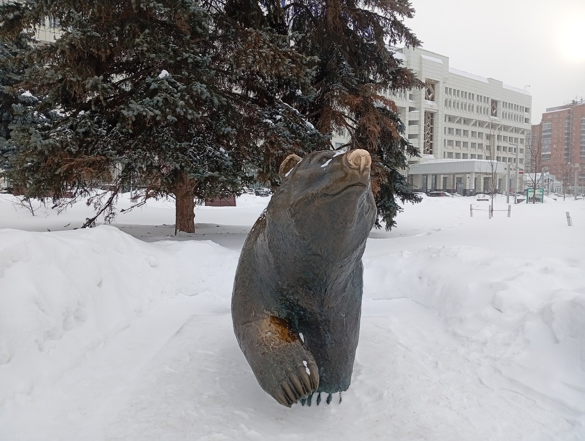 Знакомьтесь, Пермь!
