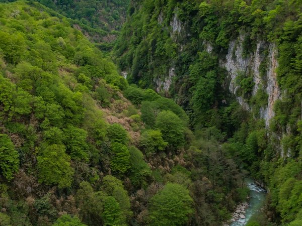 В сердце каньонов: путешествие по следам воды и ветра — из Батуми - фото 4