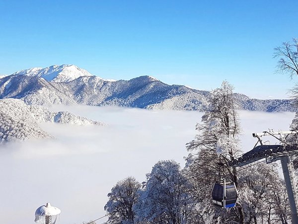 Двухдневная поездка в Шеки: история, природа и культура Азербайджана - фото 4