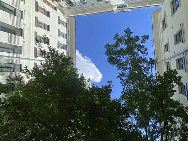 Московские адреса любви - фото 2